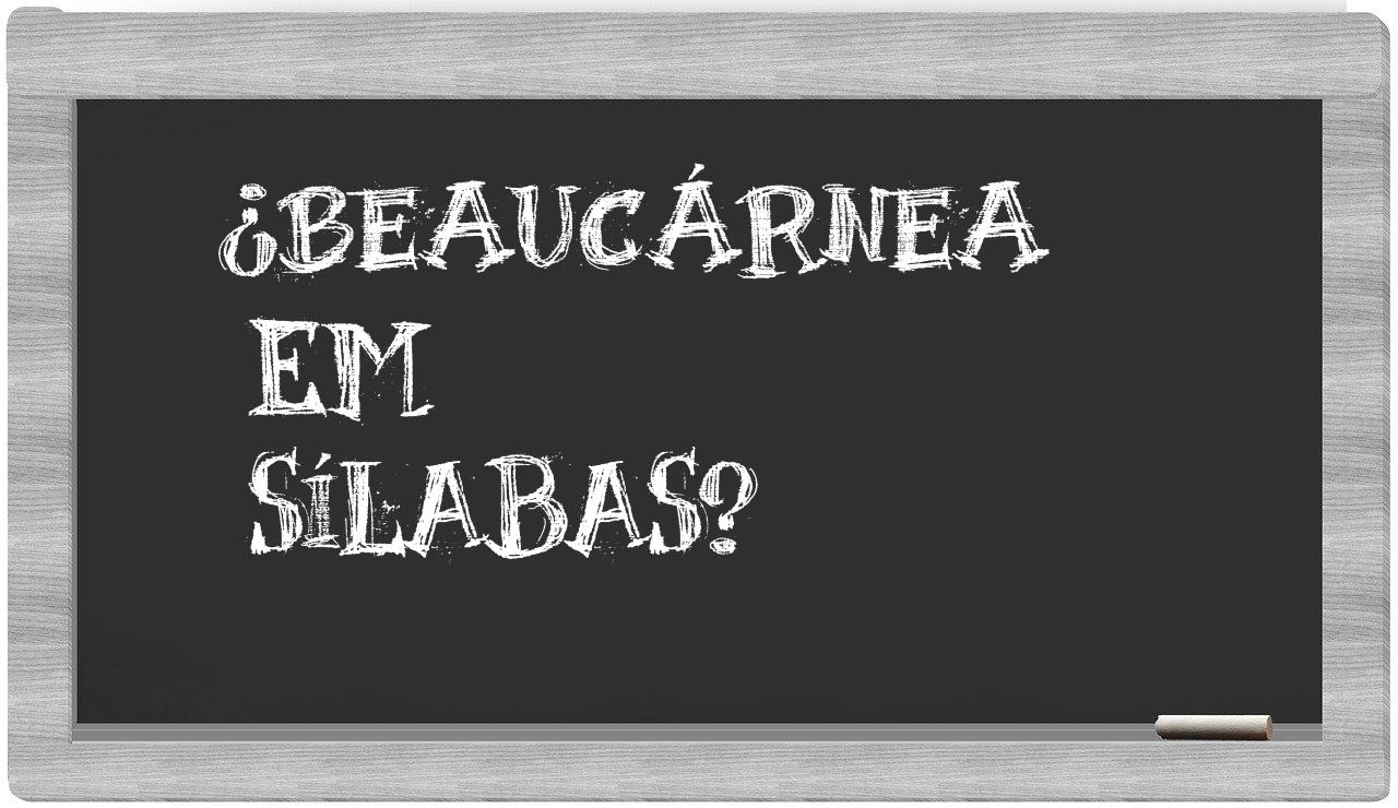 beaucárnea in syllables