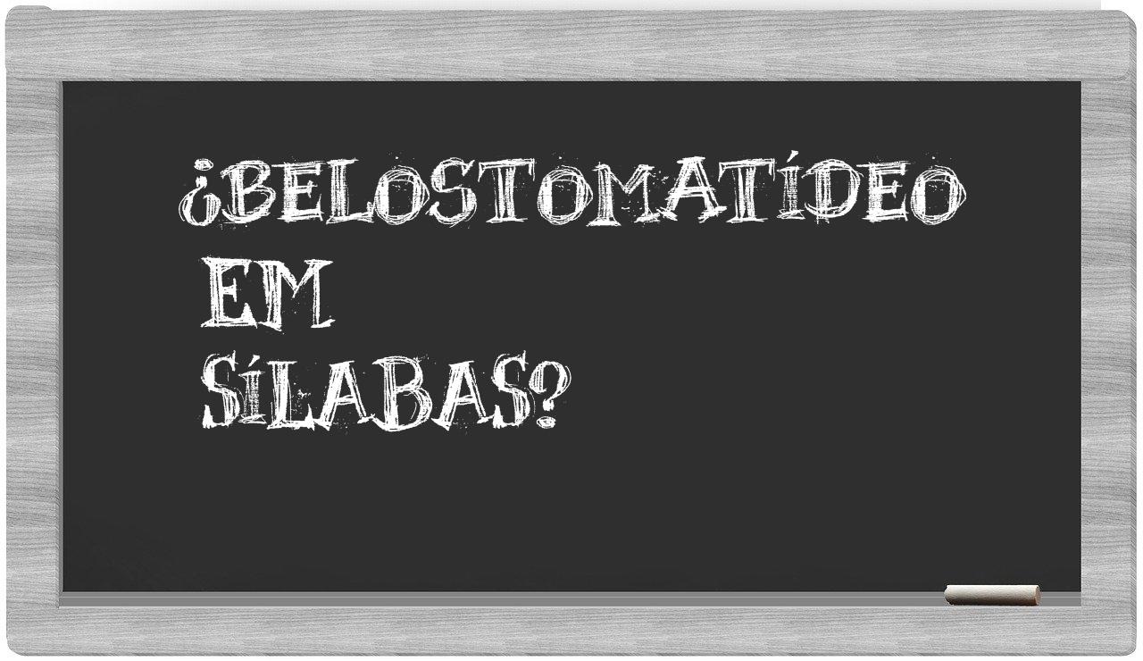¿belostomatídeo en sílabas?