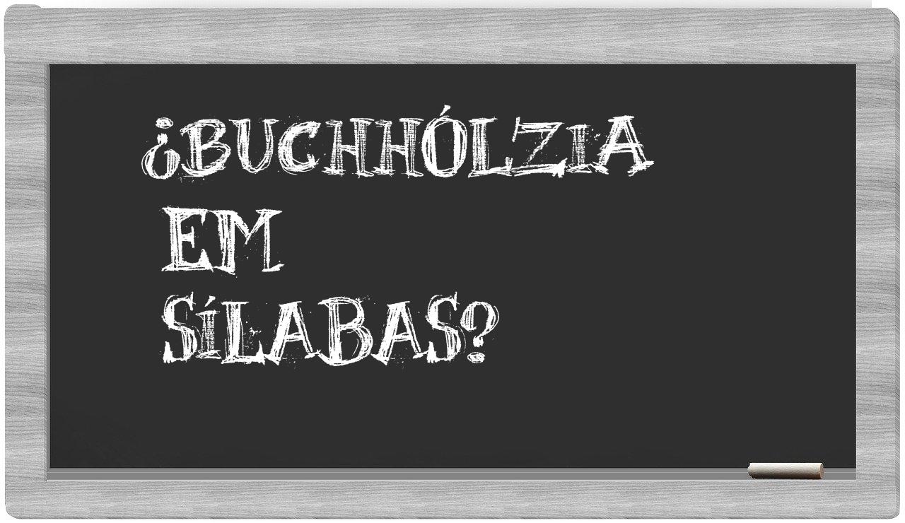 buchhólzia in syllables