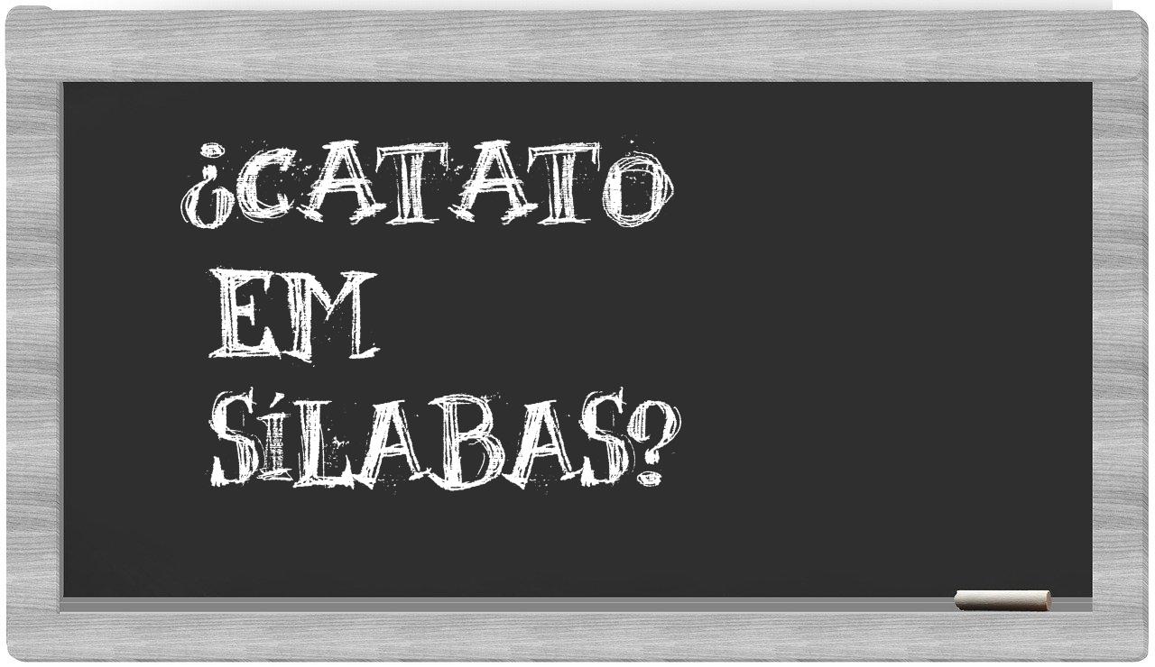¿catato en sílabas?
